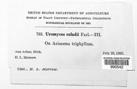 Image Associated With the Occurence